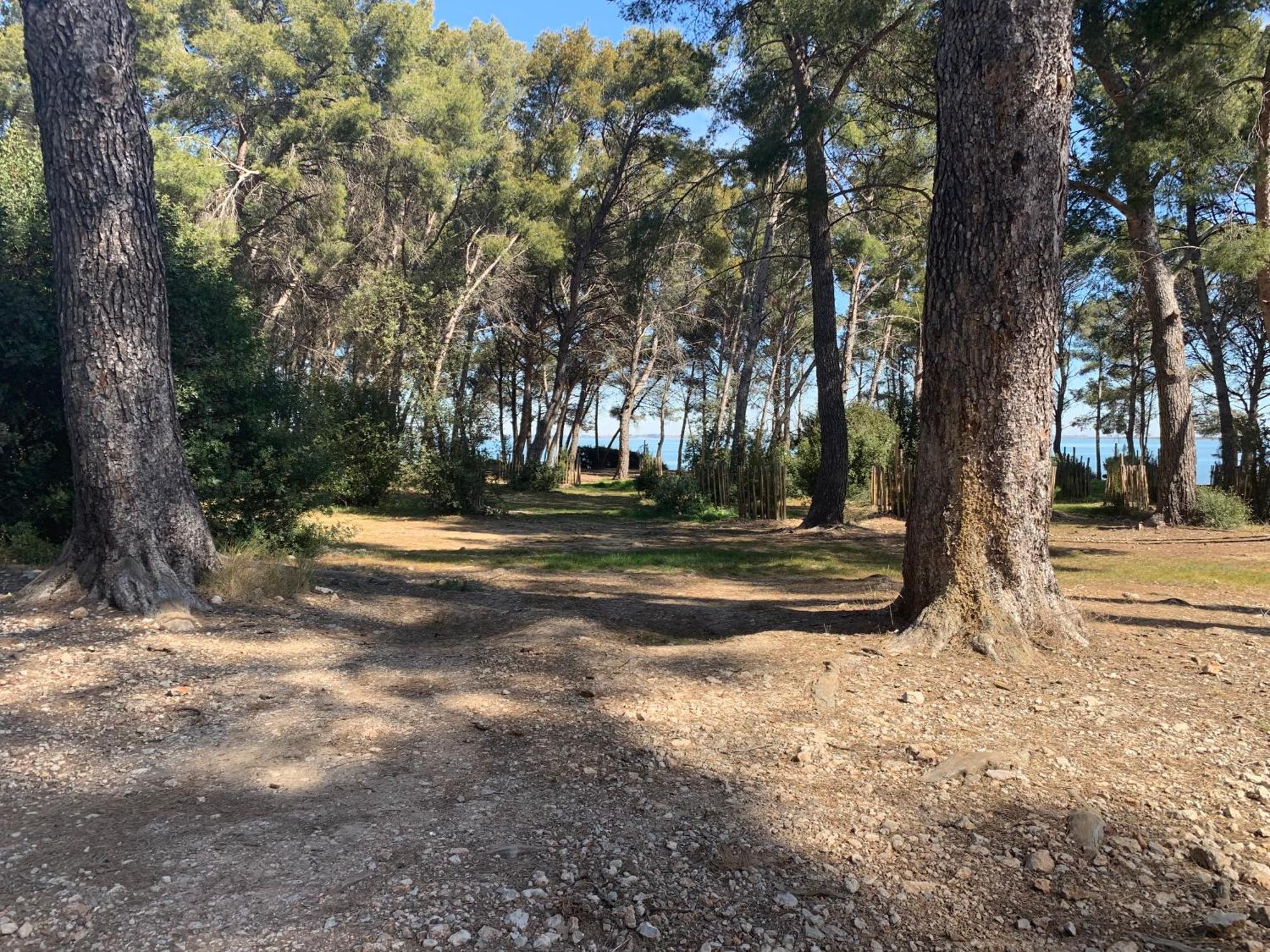Maison De Plage Frontignan Eksteriør bilde