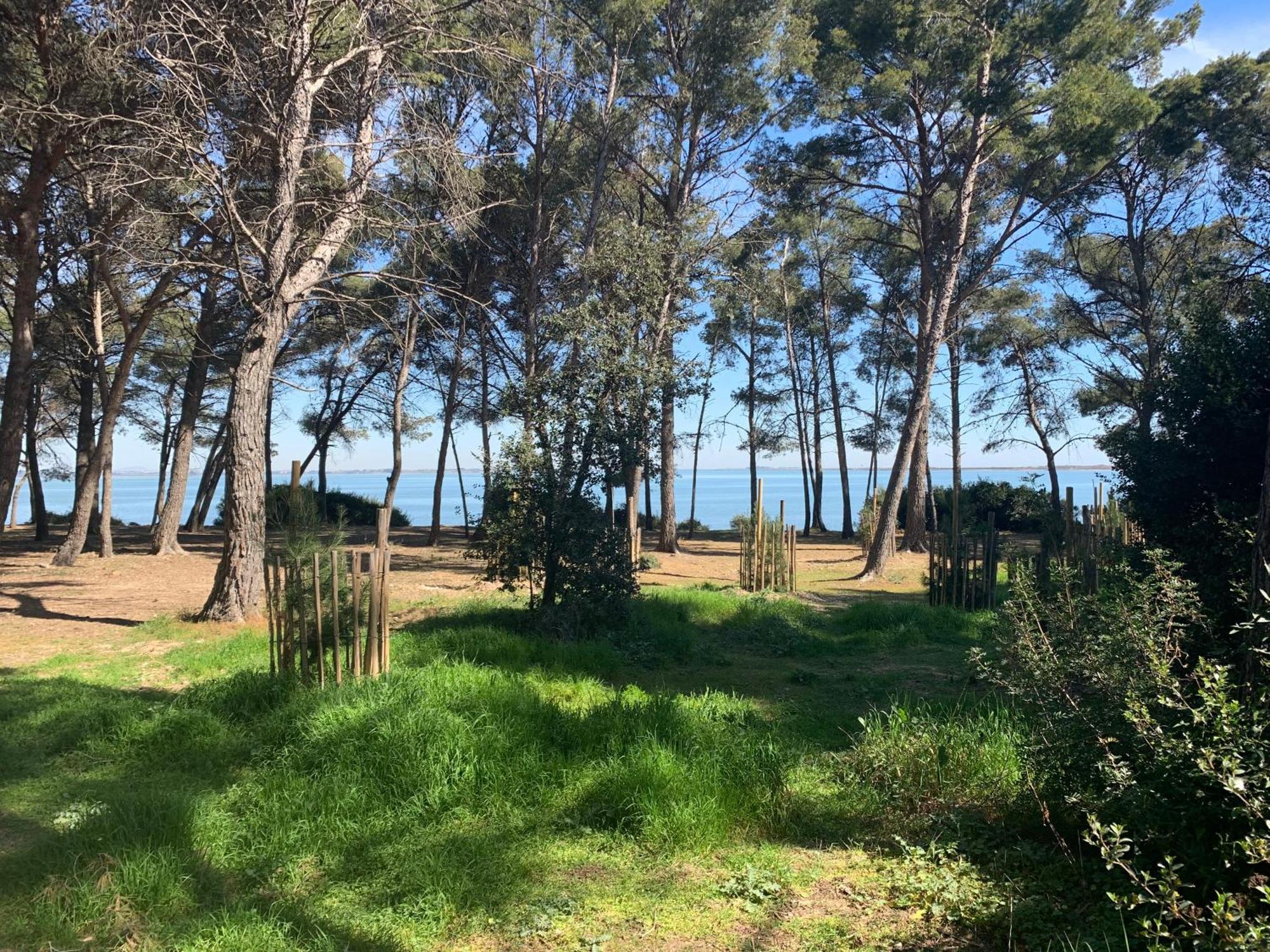 Maison De Plage Frontignan Eksteriør bilde